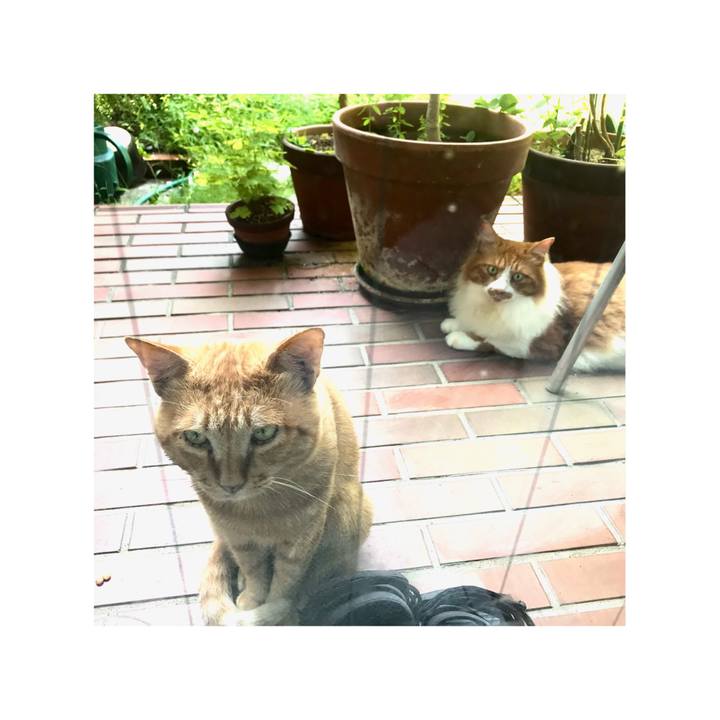 1a01bf6d 64e9 4d50 aca3 532a555e402c 1661747358431