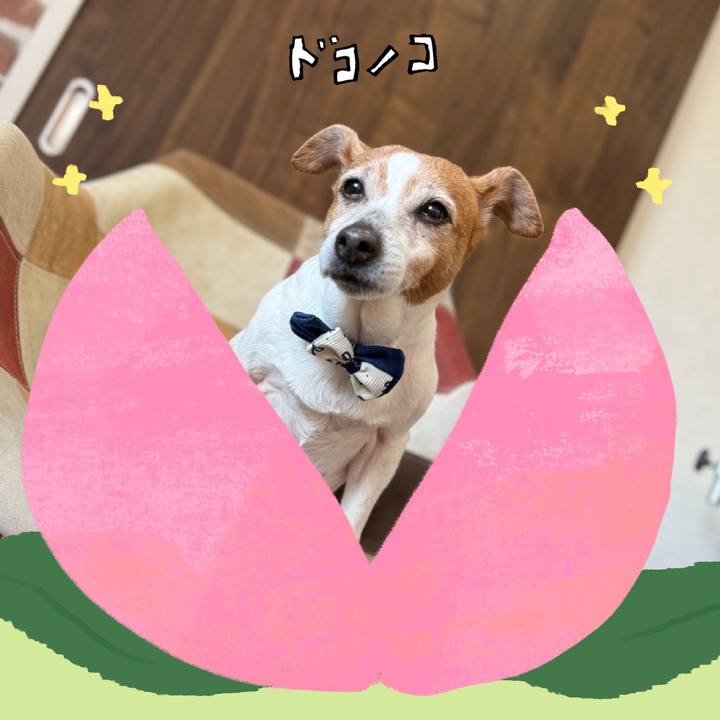 1a01cc4e d65c 49ad b7b6 efbade8277cc 1772345107814