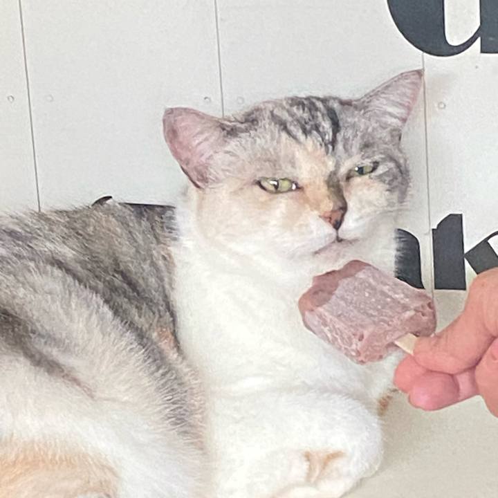 1a01df76 f4ce 4f52 b993 75971f04025a 1755762845642