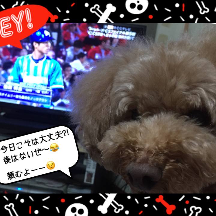 1a01e230 7f37 4218 aca8 746db1e851e7 1508839240805