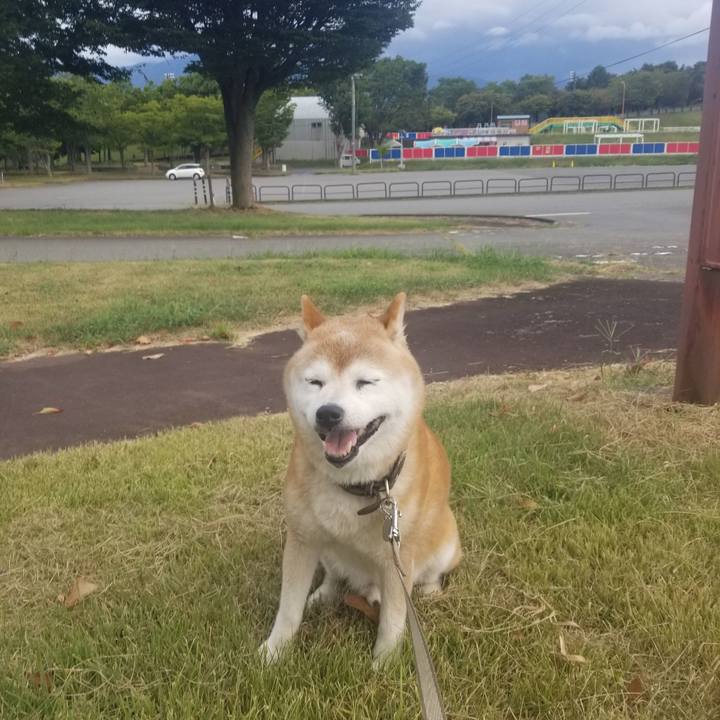 1a01ec3e 2828 4344 a86b 6addebc24bfe 1693898048121