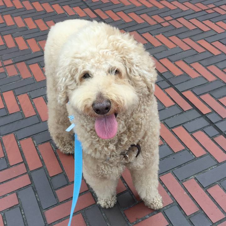 1a01ed39 0e04 4266 9eaa c242dcce50fe 1543062909497