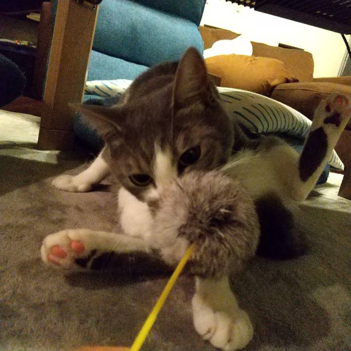 1a01f363 4074 40fb a02b 1b74c08588b8 1596977982117