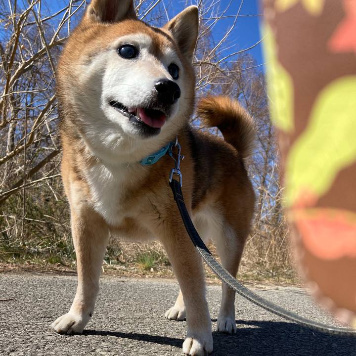 1a0201a9 9337 4041 a2d4 cc892e1a370d 1740547133298