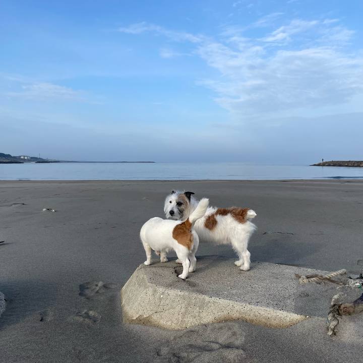 1a0207d6 9298 48fe b26d 86efe8684582 1711320848255