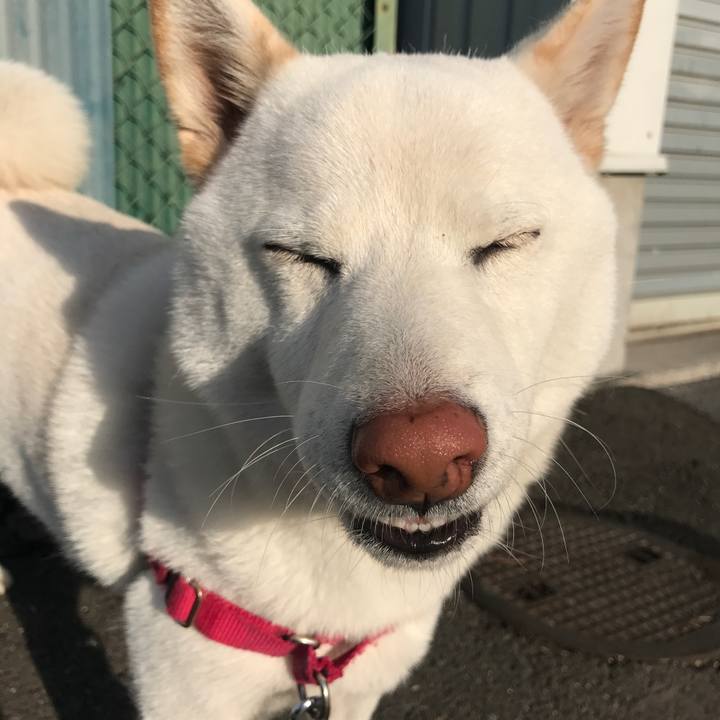 1a02285a 38de 4472 9944 03b15c27456a 1511495252907