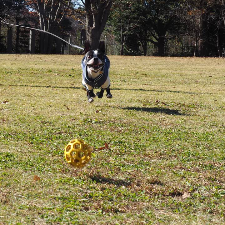 1a022dae 78d4 4863 a833 de72285e524b 1638002946851