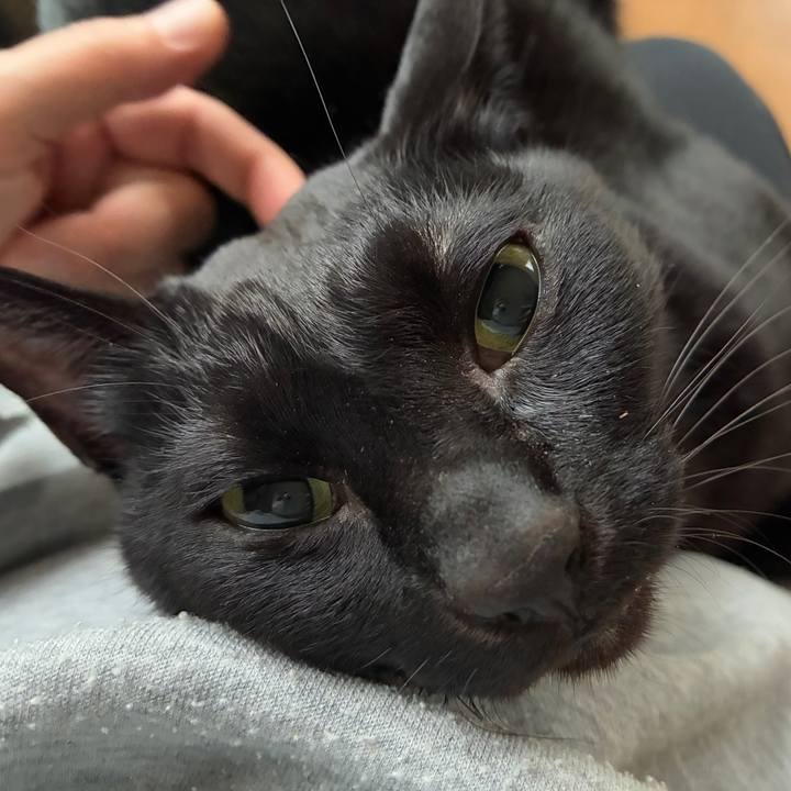 1a0235e5 213e 4a27 b883 6016ffee5ac0 1766729479059