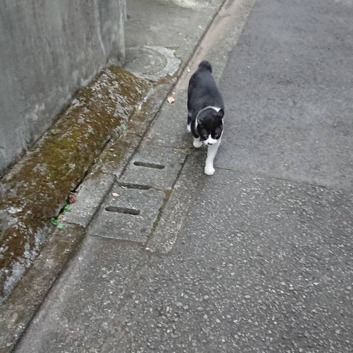 1a0259cd dd1f 4f70 b31f 6edf27d85b7c 1694085055932