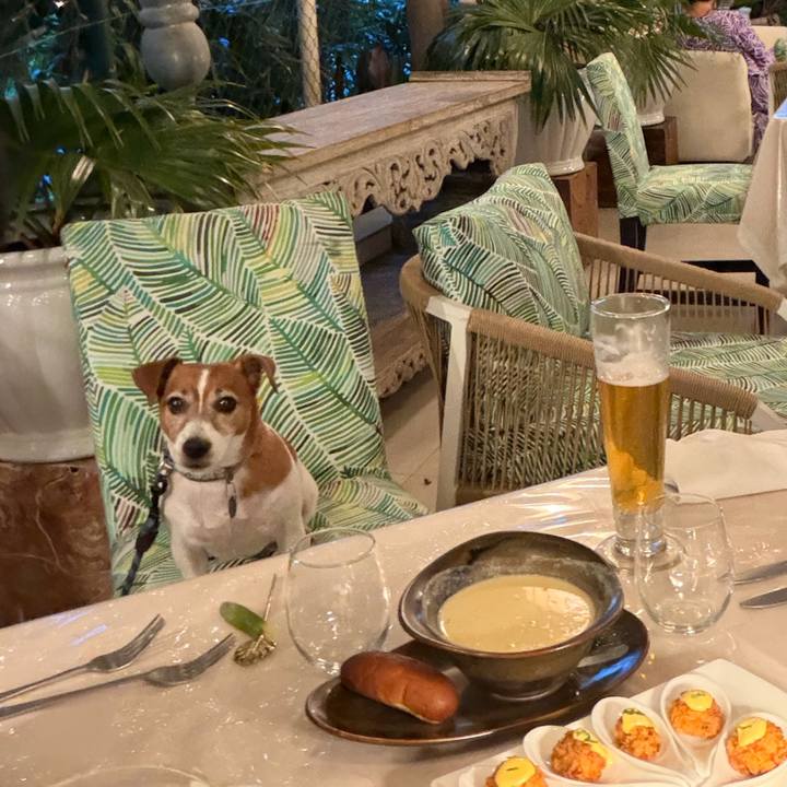 1a026dd1 5b9d 4753 a8d9 6cbe78ac8ac1 1772245617538