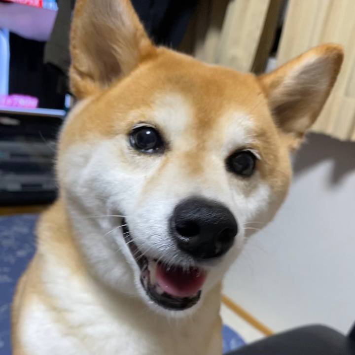 1a0275ba 150f 4f0d b95a dd7f3c7eeb24 1598364435628