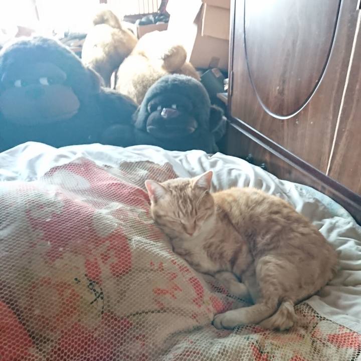 1a029d01 0496 4778 81f5 dafe92ae5fa2 1587013803302