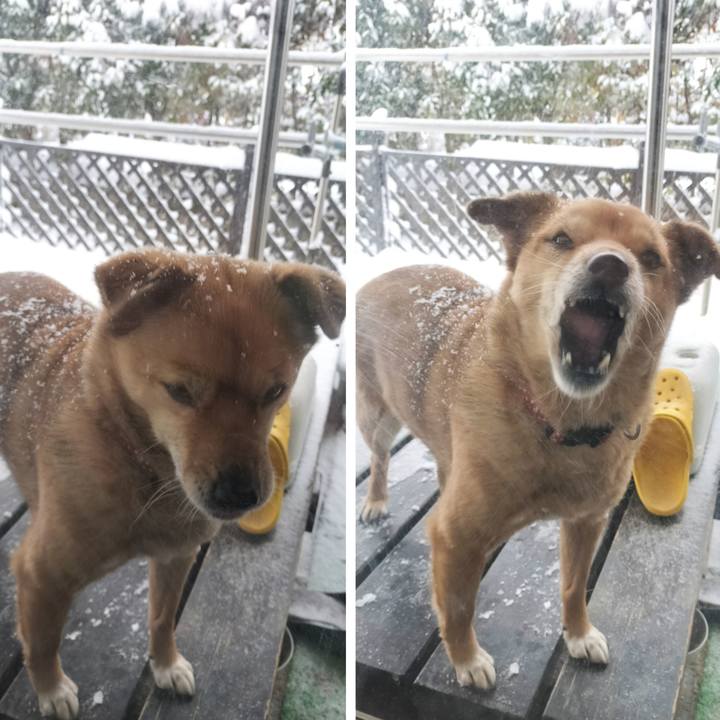 1a02b00b c029 409d 8c44 e32e80f2fda2 1739099398411