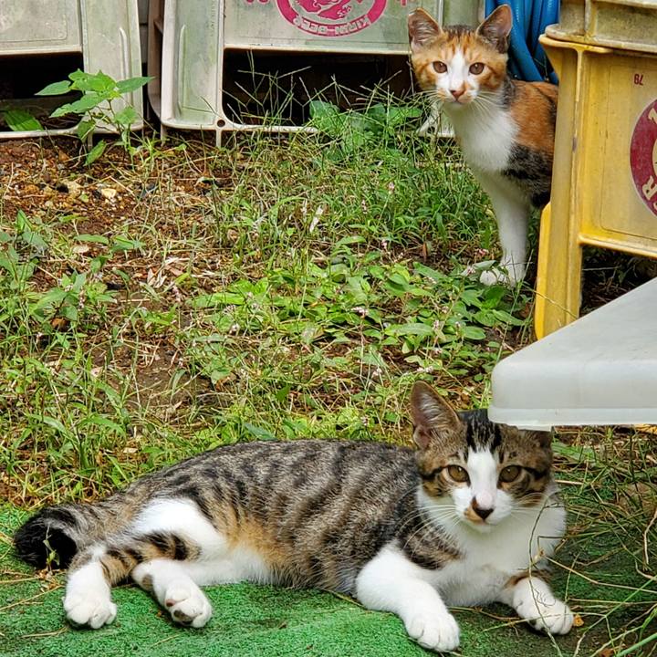 1a030627 80bf 4215 86db 946871958f9c 1727743786451