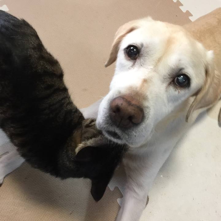 1a031af7 ae39 41b5 bbe1 9af96e824024 1596840356054