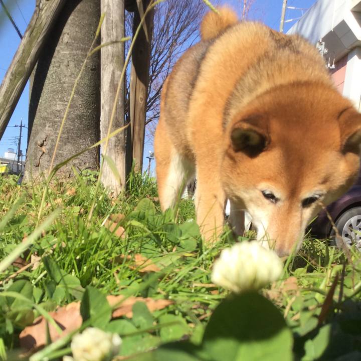 1a0340df 3dda 487b bee8 9b9bd0582cf0 1578277207473