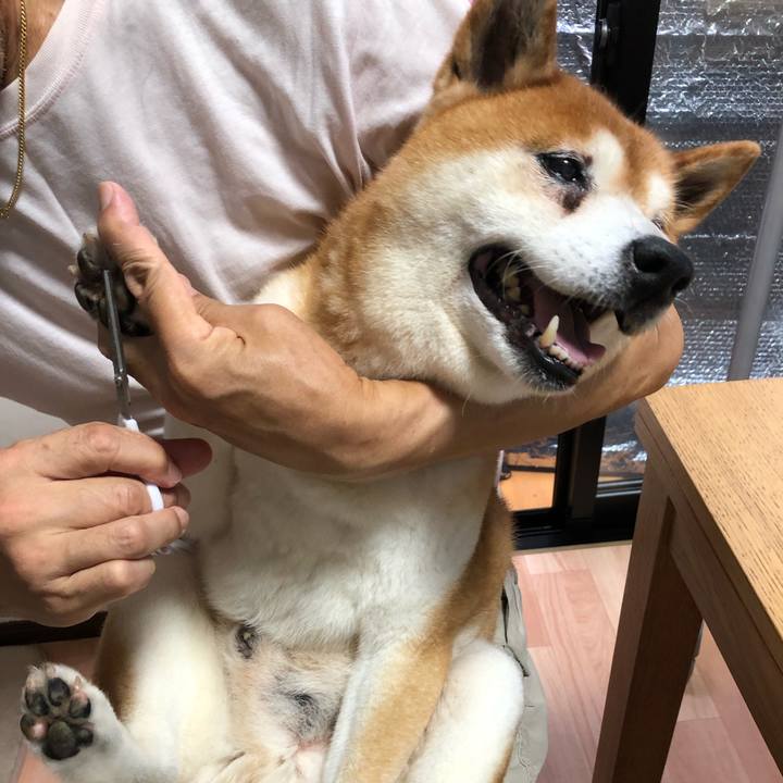 1a0341bc 6189 41d9 b29a 256903346331 1564292662418