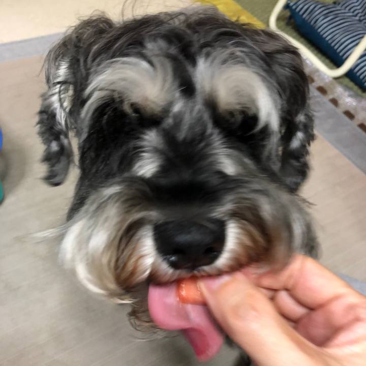 1a0365b6 4d8d 4d7b 8b6a 5cbe9ef59cfc 1629893901529