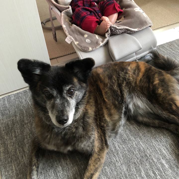 1a0366a5 811b 4185 8422 55605e0a0573 1705318402590