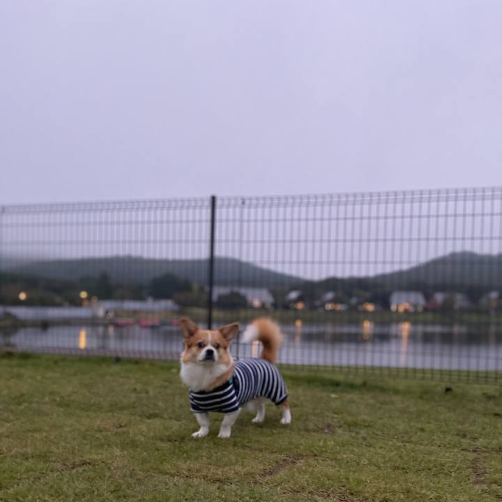 1a0399dc 5f6f 49e0 a920 c7a7fc2d8c8e 1663836189460