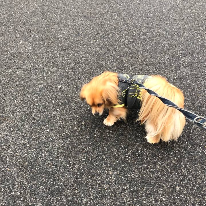 1a03a6c4 62b3 44f4 8366 7b56ec258cc7 1545522207261