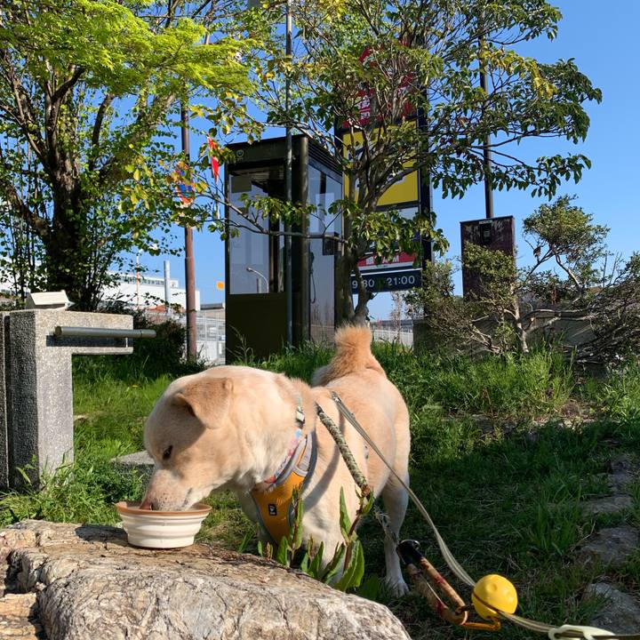 1a03eebd cc86 496d 98ab 27efe910ac39 1555113169056