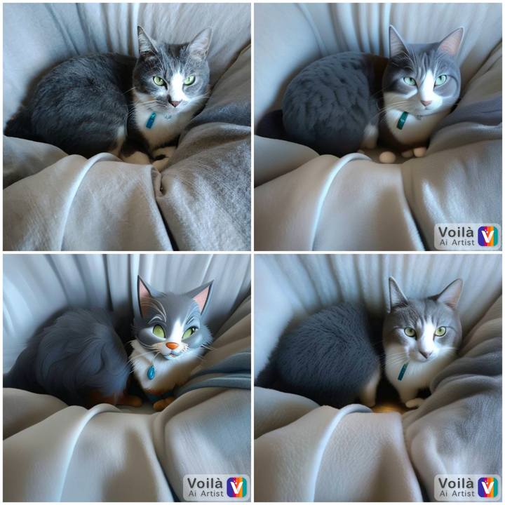 1a042bb1 a9de 4b77 b5ea 3a78082c6ab3 1674913164856