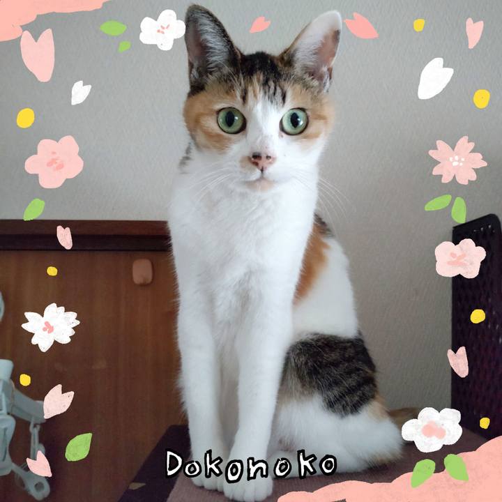 1a043265 3236 41fb a340 c2103e560beb 1711030726195