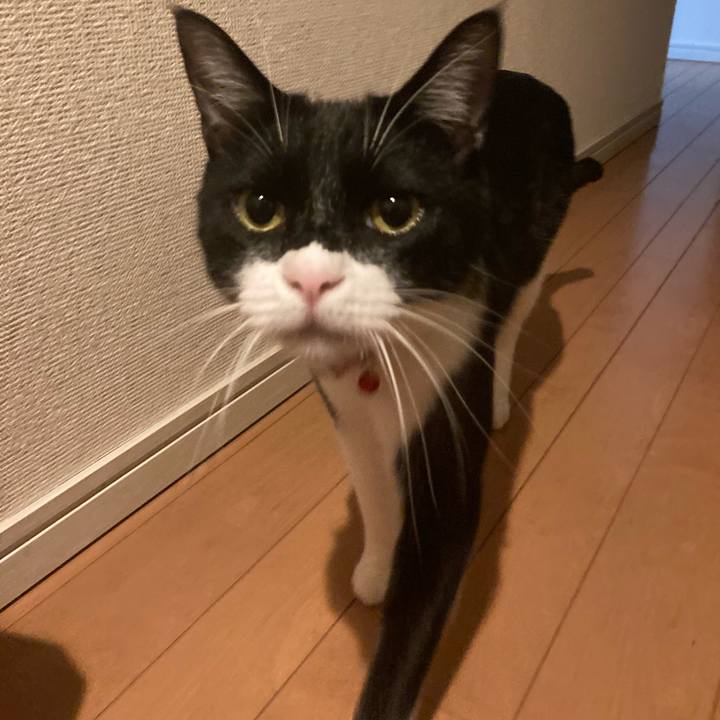 1a044885 f6b9 461d 9e8b 8df9889fa710 1622555986862