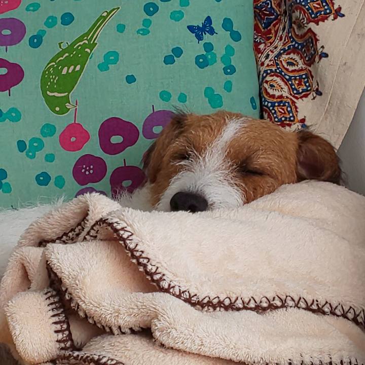 1a046468 26d7 461f 84d6 148c8a1a2573 1571792284164