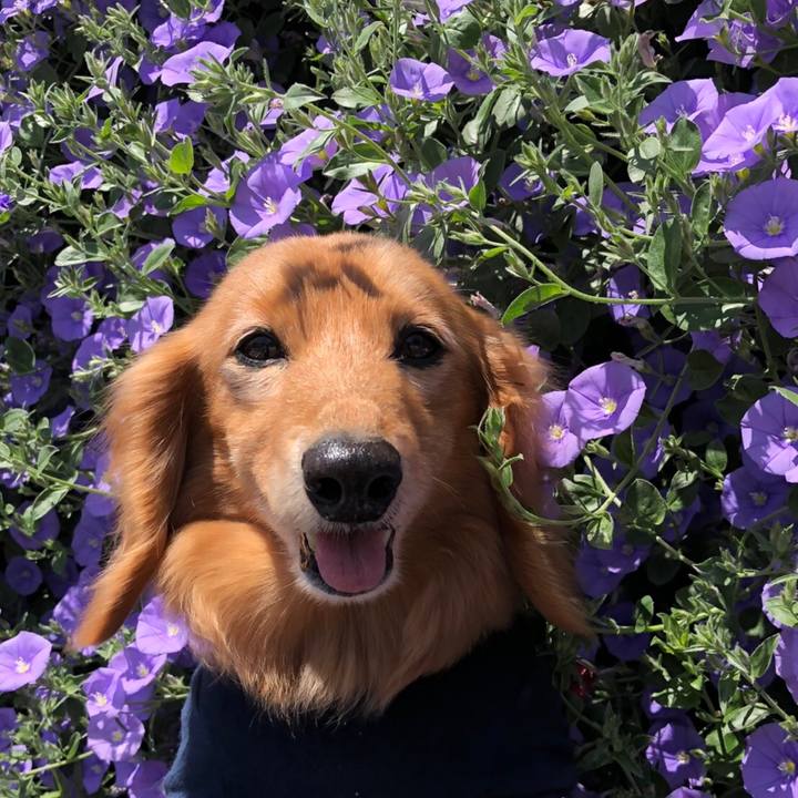 1a047e7f 438a 49d0 840b b29b90b1813b 1588913144313