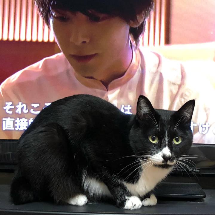 1a048fe7 5ddb 41aa bdc8 0f01970dc145 1573530359659