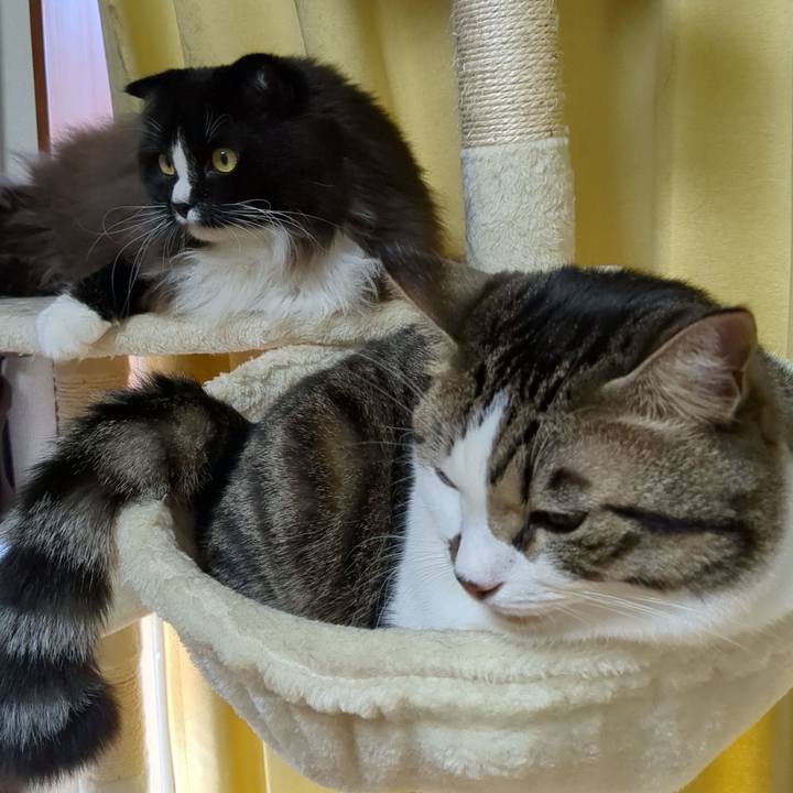 1a049d59 846f 417c 881c 3be077628fc5 1666235787147