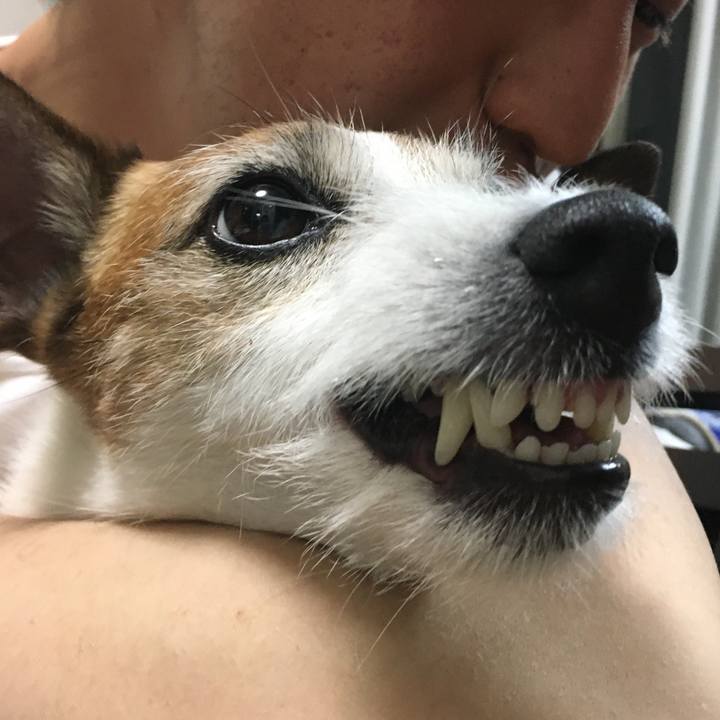 1a04b0c8 84e9 4a18 96d3 215df42da54a 1652224803309