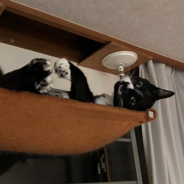 1a04cdf4 49d0 4851 824d 2fe1c70804f9 1591069462984