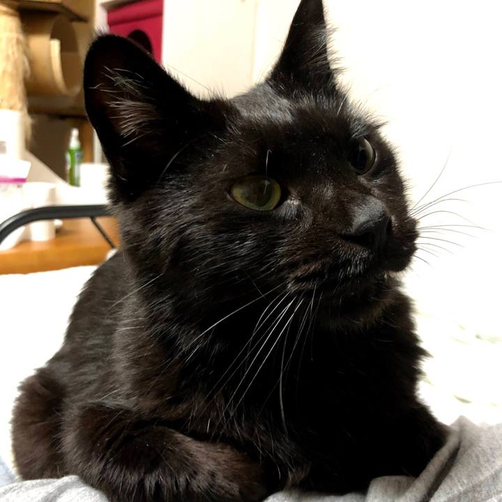 1a04e89d 497c 4a16 99a1 d35429cb1ad6 1599063869856