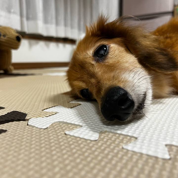 1a04ebc6 e640 423b 9143 bf06670cf42c 1662037914562