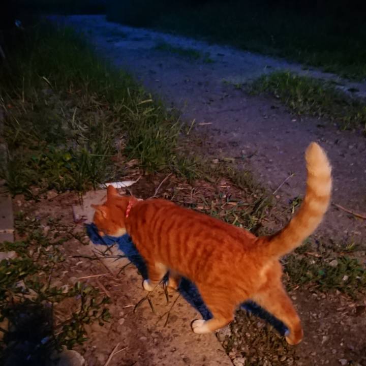 1a04fbb5 3a55 4b5d 8864 ce392235fb86 1600334726980