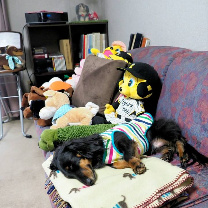 1a0535da 705d 4519 8a0c 9e2e0736a300 1557802954036