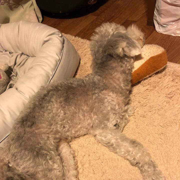 1a054278 ebbd 405a ae0b 130f1b569bbe 1624580477566