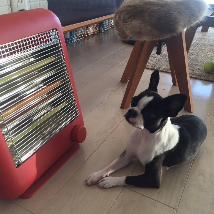 1a056981 7eb2 4e7b a8cd 5a681a9ca4f7 1513034402526