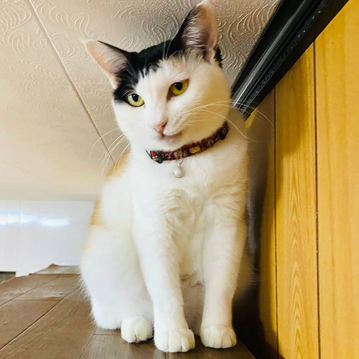 1a0583c3 d118 40f7 9fb6 0655b259acea 1665007905627