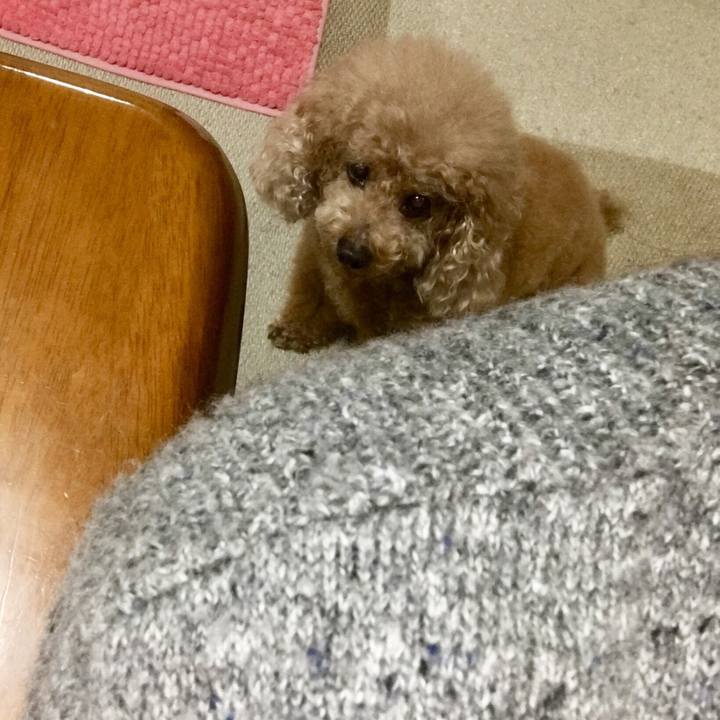 1a0593d0 809e 4c1f b8e0 48b3280581ff 1529149783393