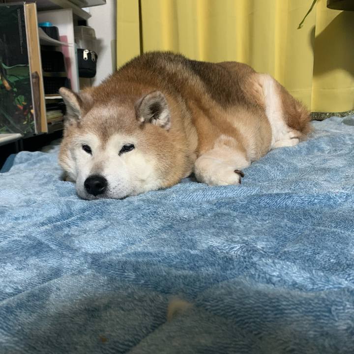 1a059e6b 5e1d 44bf 9ccd cee9970fd75d 1669736275402