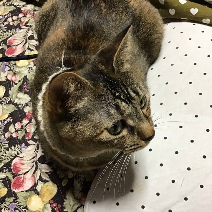 1a05d15a e00a 4136 8cc4 0e1d5487450b 1649758213311