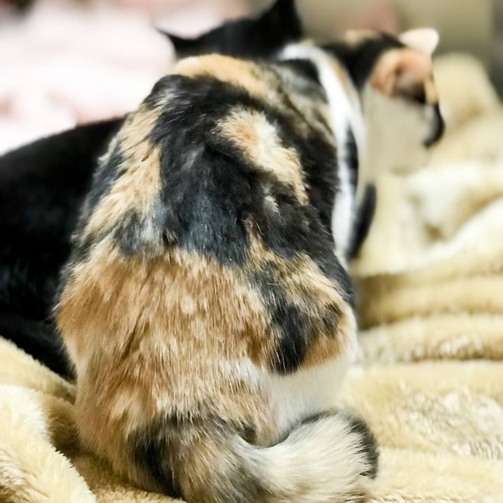 1a05e965 44af 4891 b028 bf790d37305c 1516236271011