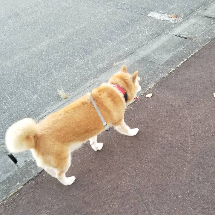 1a061dc4 14f1 421d b479 d1b8a8475b0b 1725956551231