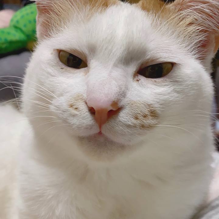 1a061f13 1eb4 4966 9faf 11276b830c15 1587901020717