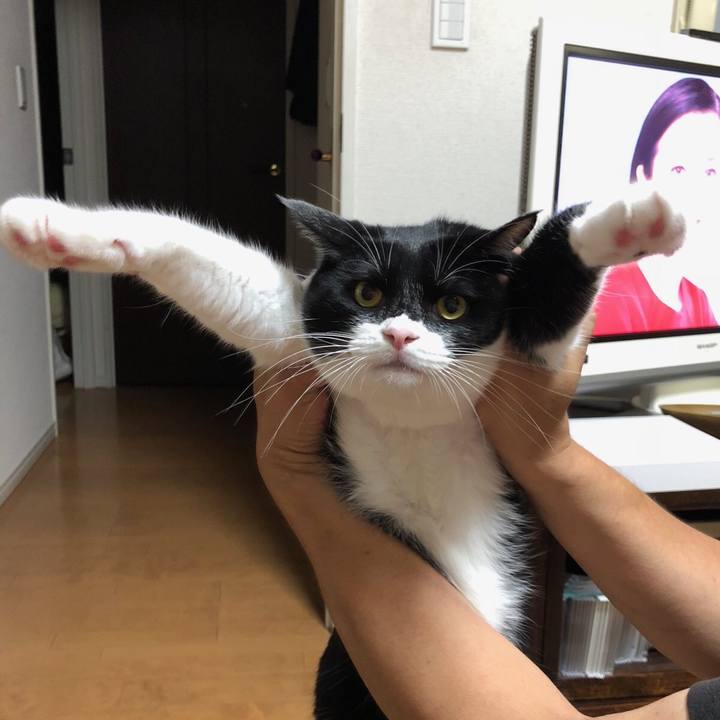 1a063cbd 6efd 4442 bd91 3047c6c32cb3 1534942740946