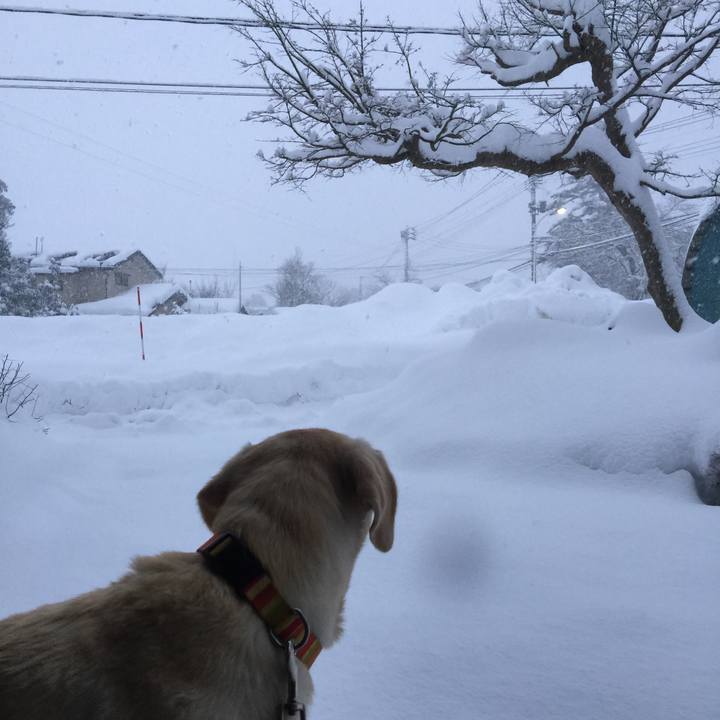 1a0678e1 e230 40fe 8ece 1887917e456a 1517279312941